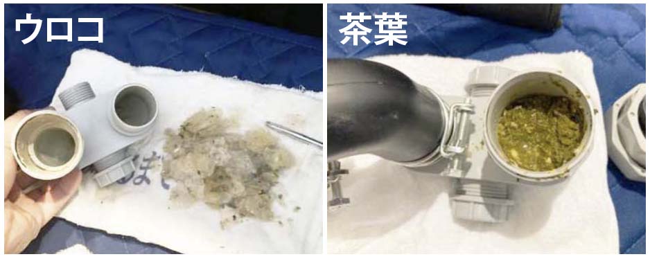 【メンテナンス】カメラは見た！激録！噛み込み・排水不良24時